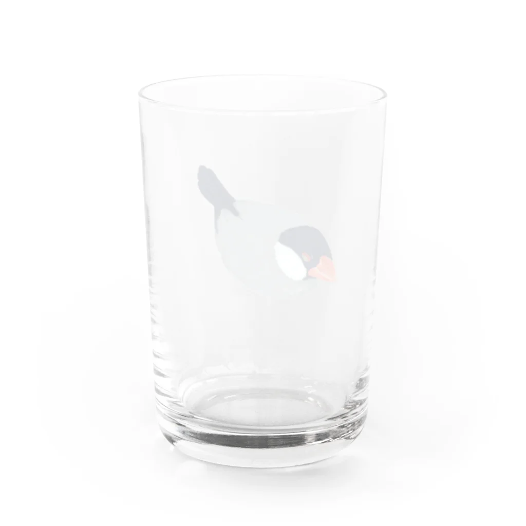 ブンチョのずんだのフクフク文鳥 Water Glass :back