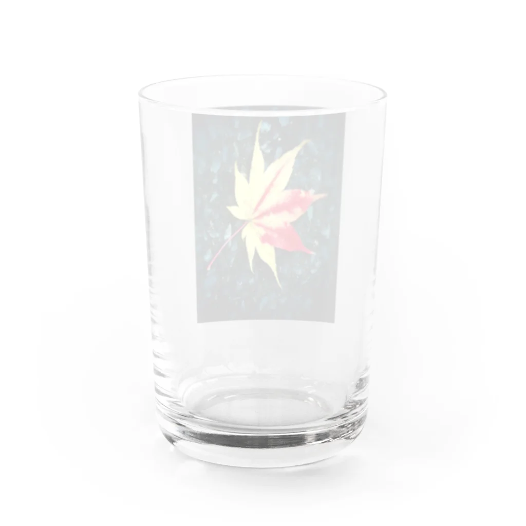 nicoの楓🍁 Water Glass :back