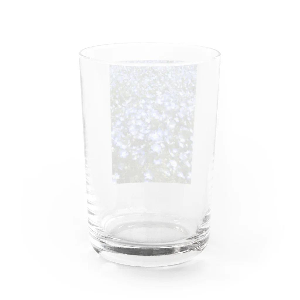 coronblanのネモフィラの咲く頃 Water Glass :back