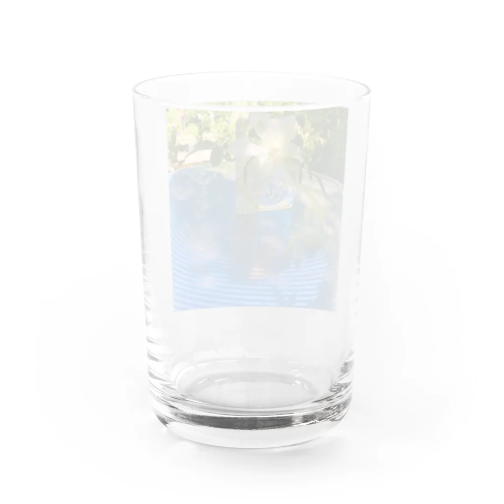 トウメイミドリのトウメイシロのクレマチス Water Glass :back