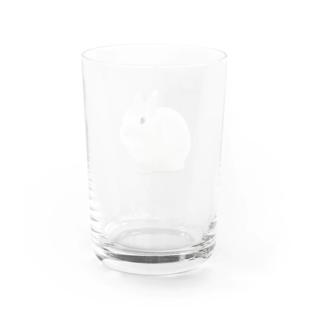 めんふぃすのうさぎ　ネザー Water Glass :back