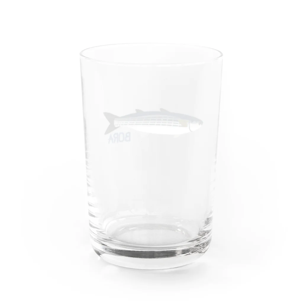 ヤストリのボラ Water Glass :back