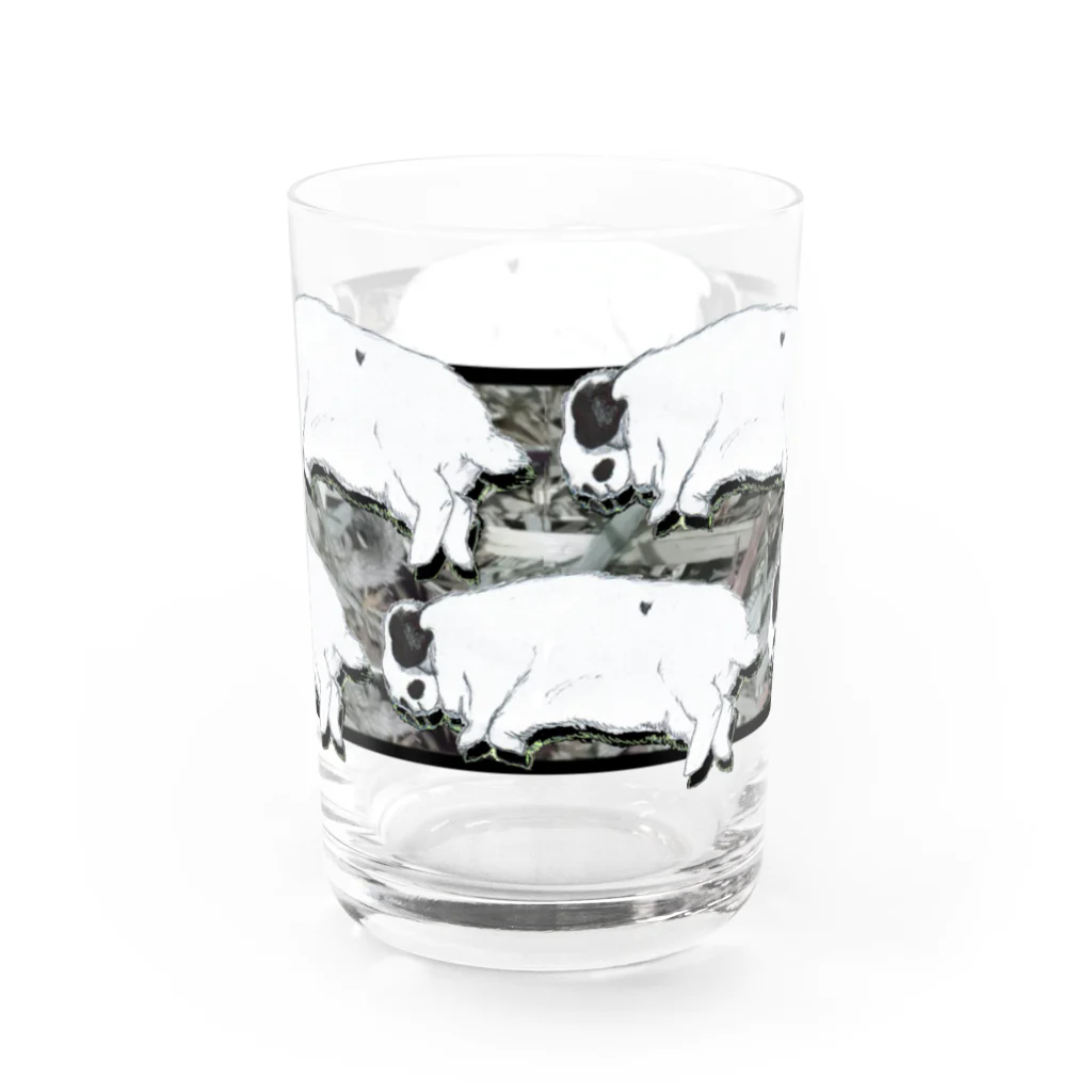 親戚のおばちゃんのお店のティーちゃん沢山チモシーVer Water Glass :back