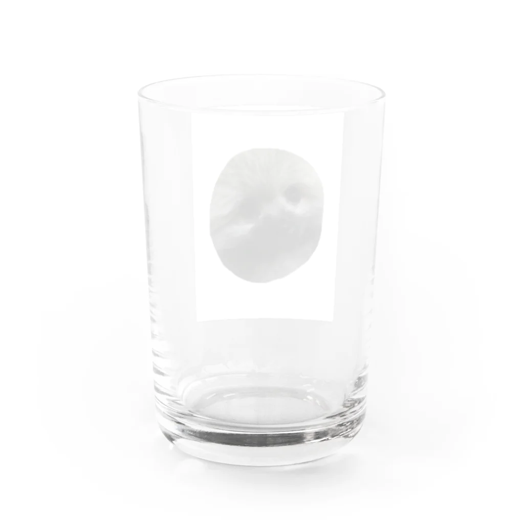 こやま　りなのジャー Water Glass :back