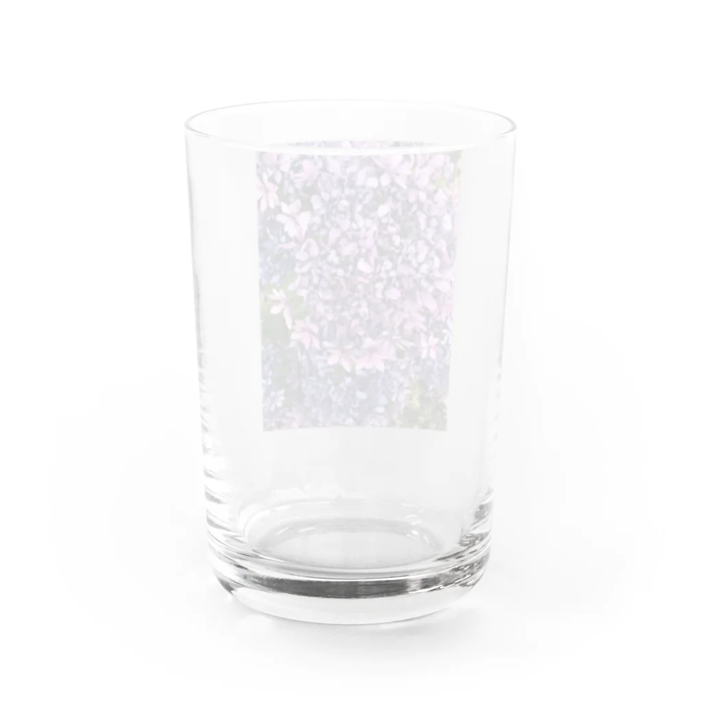 むむむむの紫陽花 Water Glass :back