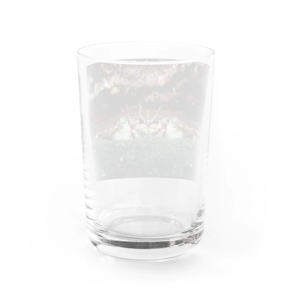 龍舞堂の蟹 Water Glass :back