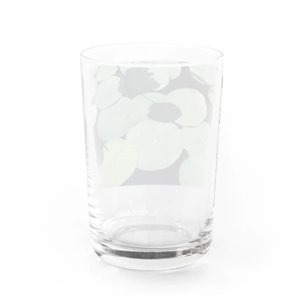 yutoyouの Lotus Leaf Water Glass :back