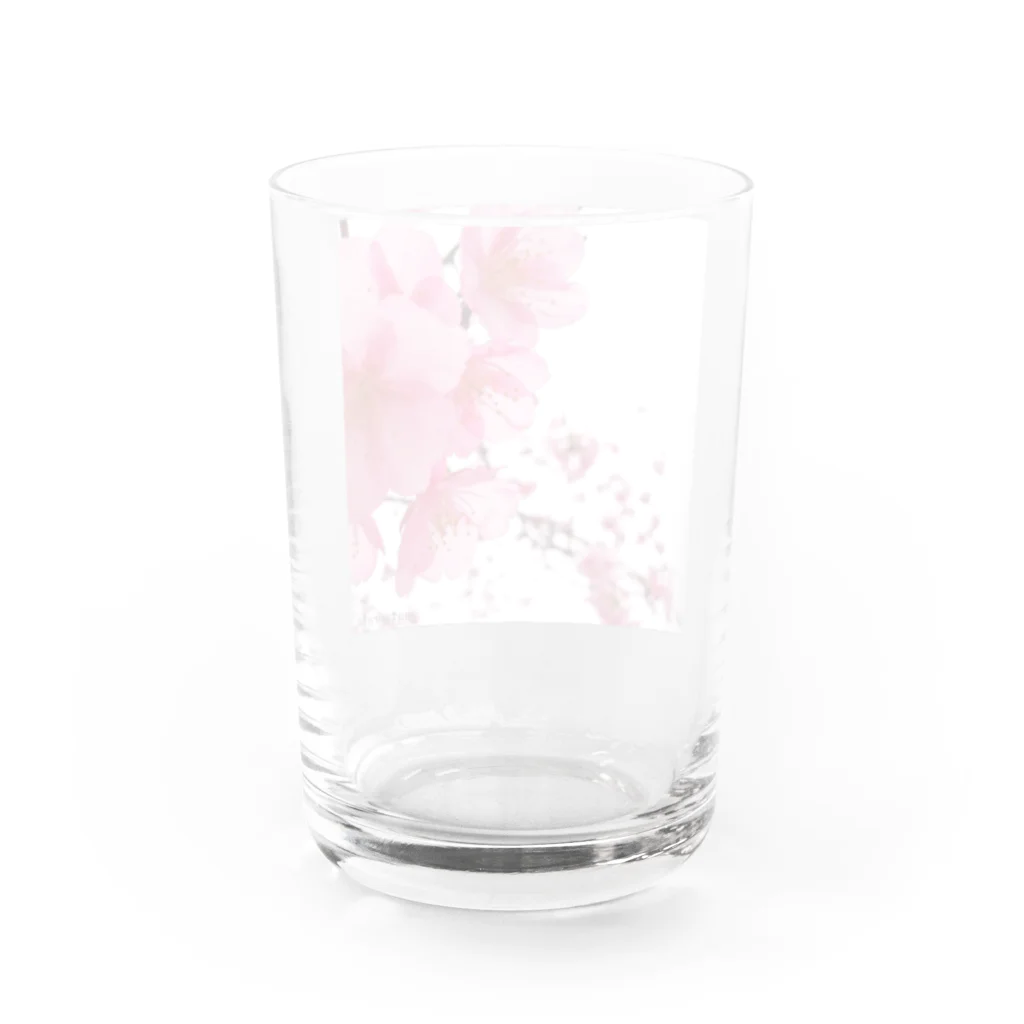 S Matsuのかわづさくら Water Glass :back