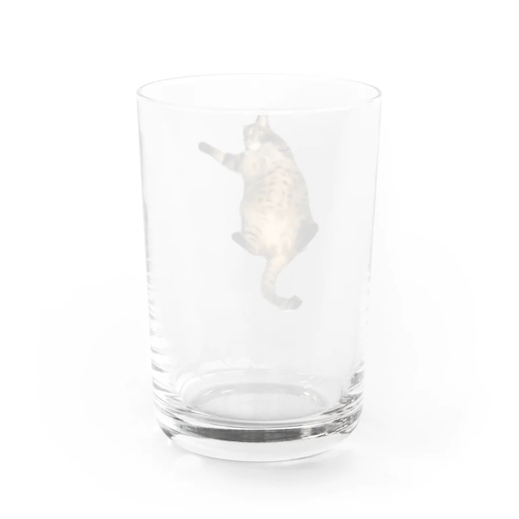 y_RockFieldの怠惰 Water Glass :back