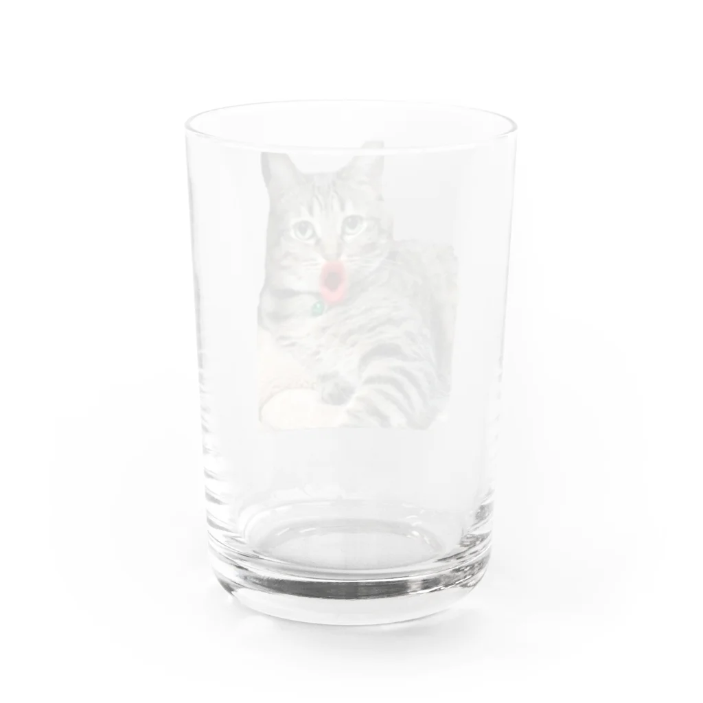 y_RockFieldの色欲 Water Glass :back