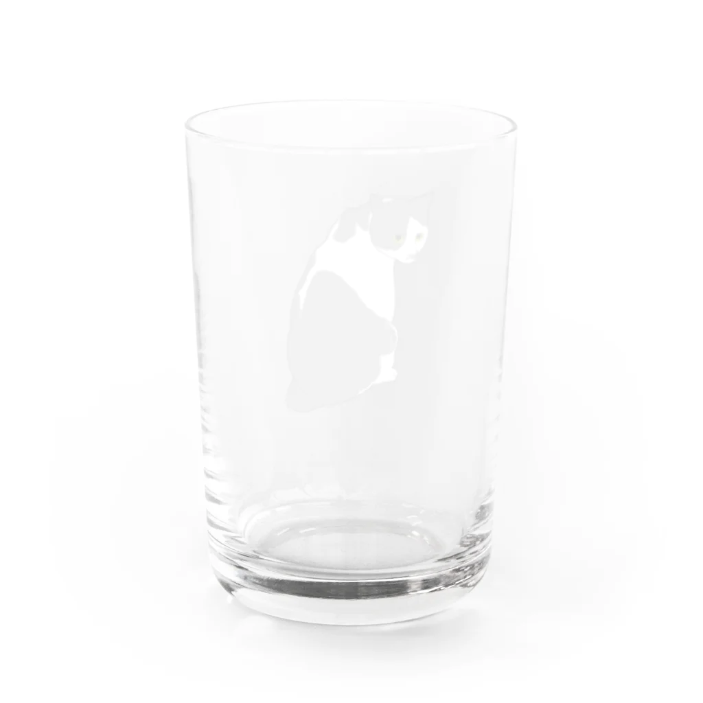 好きなものは見つかったかい？の振り返り猫　小梅くん Water Glass :back