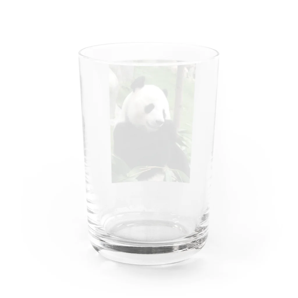 HKG パンダの右奥歯で Water Glass :back