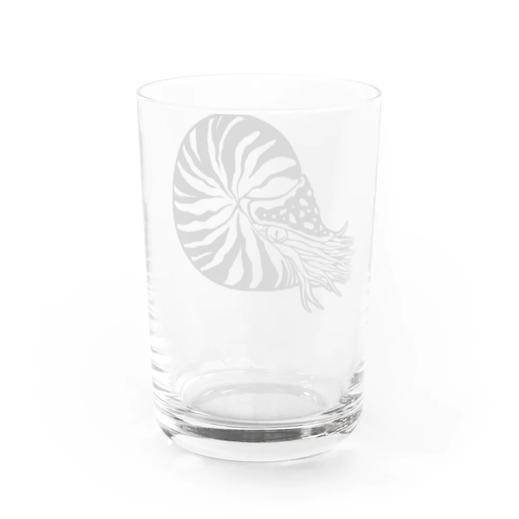 モリタミナミのオウムガイ Water Glass :back