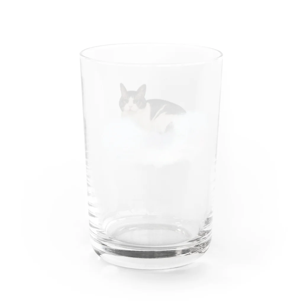 宇宙猫たちの日常の雲に浮かぶムーン Water Glass :back