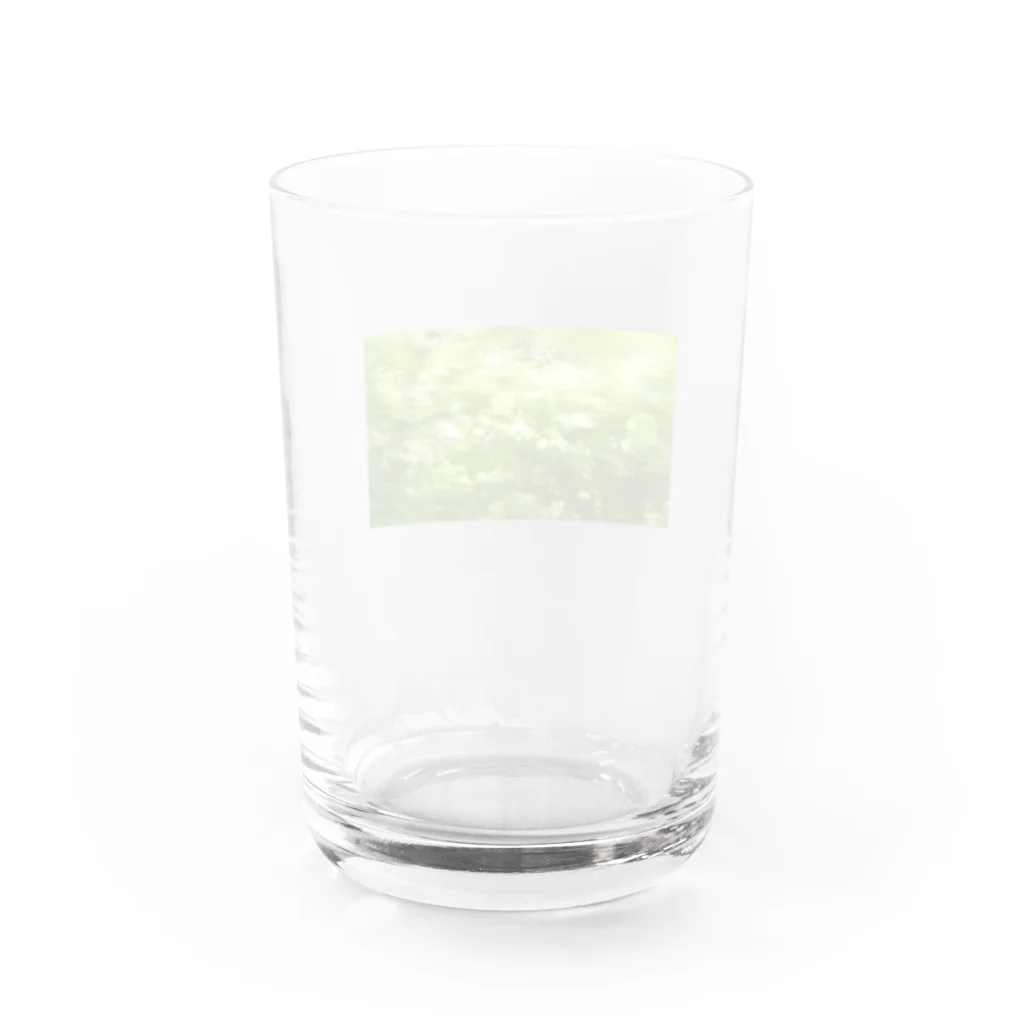 やまとねこの森へ（きらきら） Water Glass :back