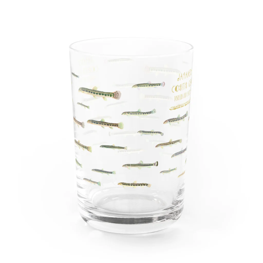 いけす　第二池のシマドジョウグラス Water Glass :back