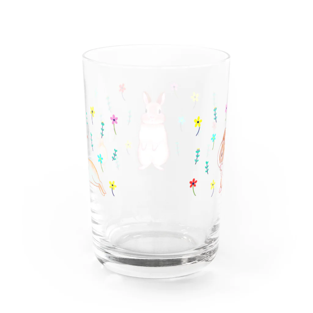 shocolyのうさうさライフ Water Glass :back