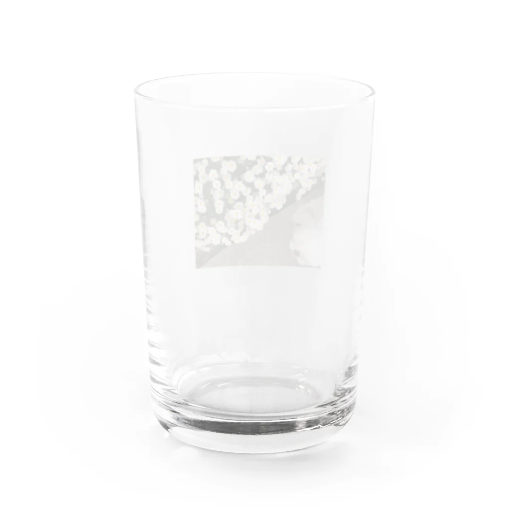 she is meのshe is u(実写版) Water Glass :back