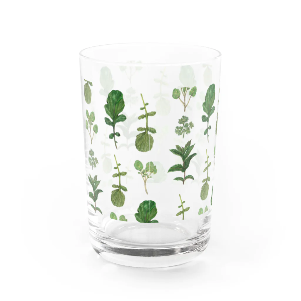 いいだ あやかのherb Water Glass :back