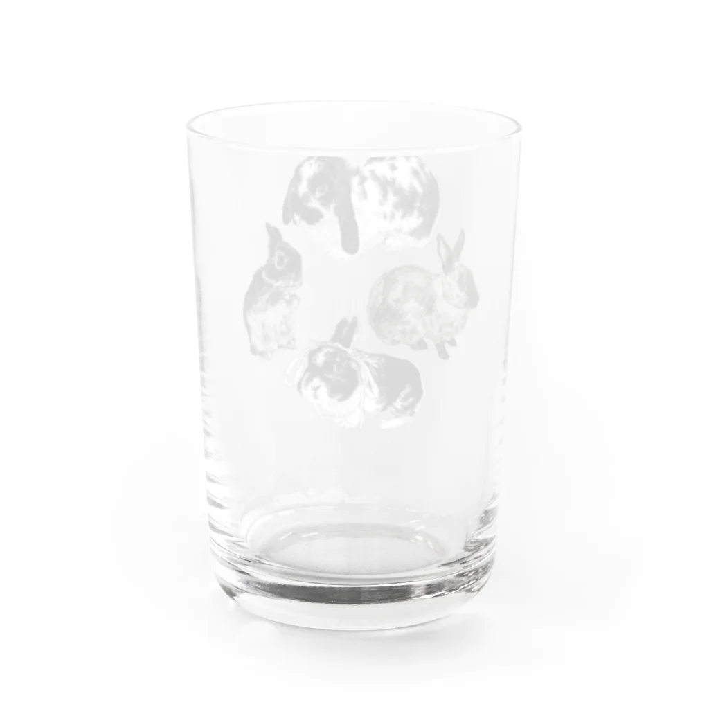 Gallery Neperoのうさぎ環 Water Glass :back