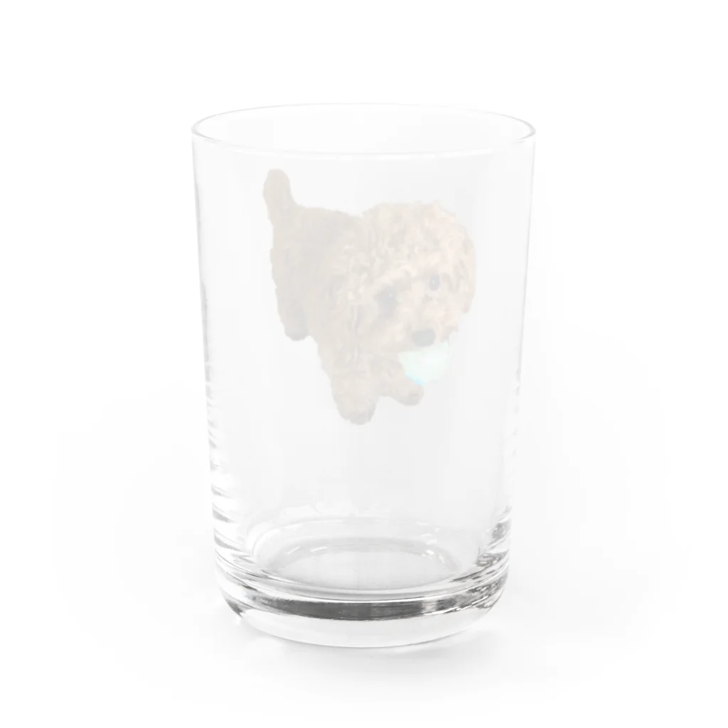 メルちゃんの可愛さを布教するだけのお店の伝説の秘宝を携えし犬 Water Glass :back