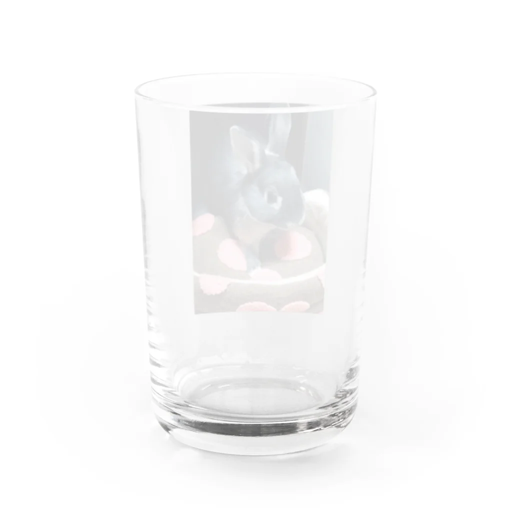 うさぎのお店.のうさぎのPoteo. Water Glass :back