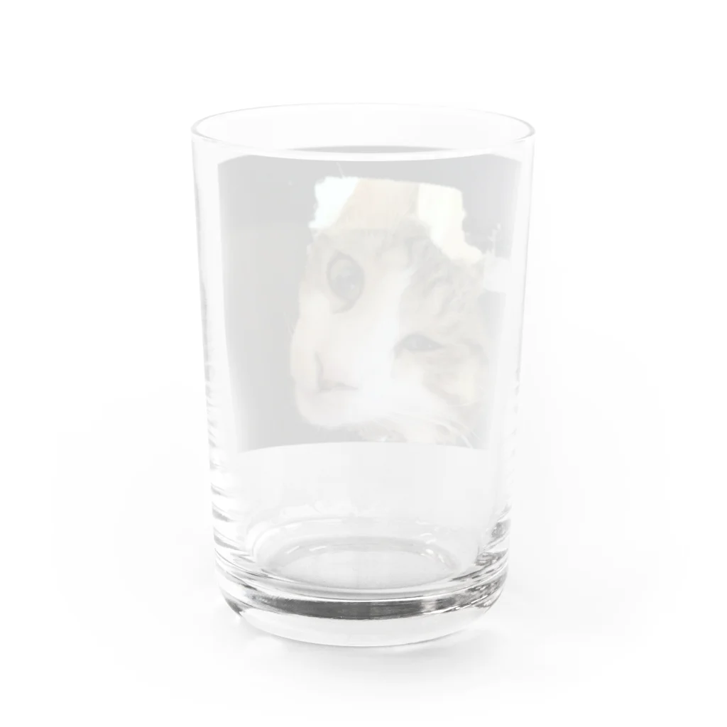 power71のザ・パワーT? Water Glass :back