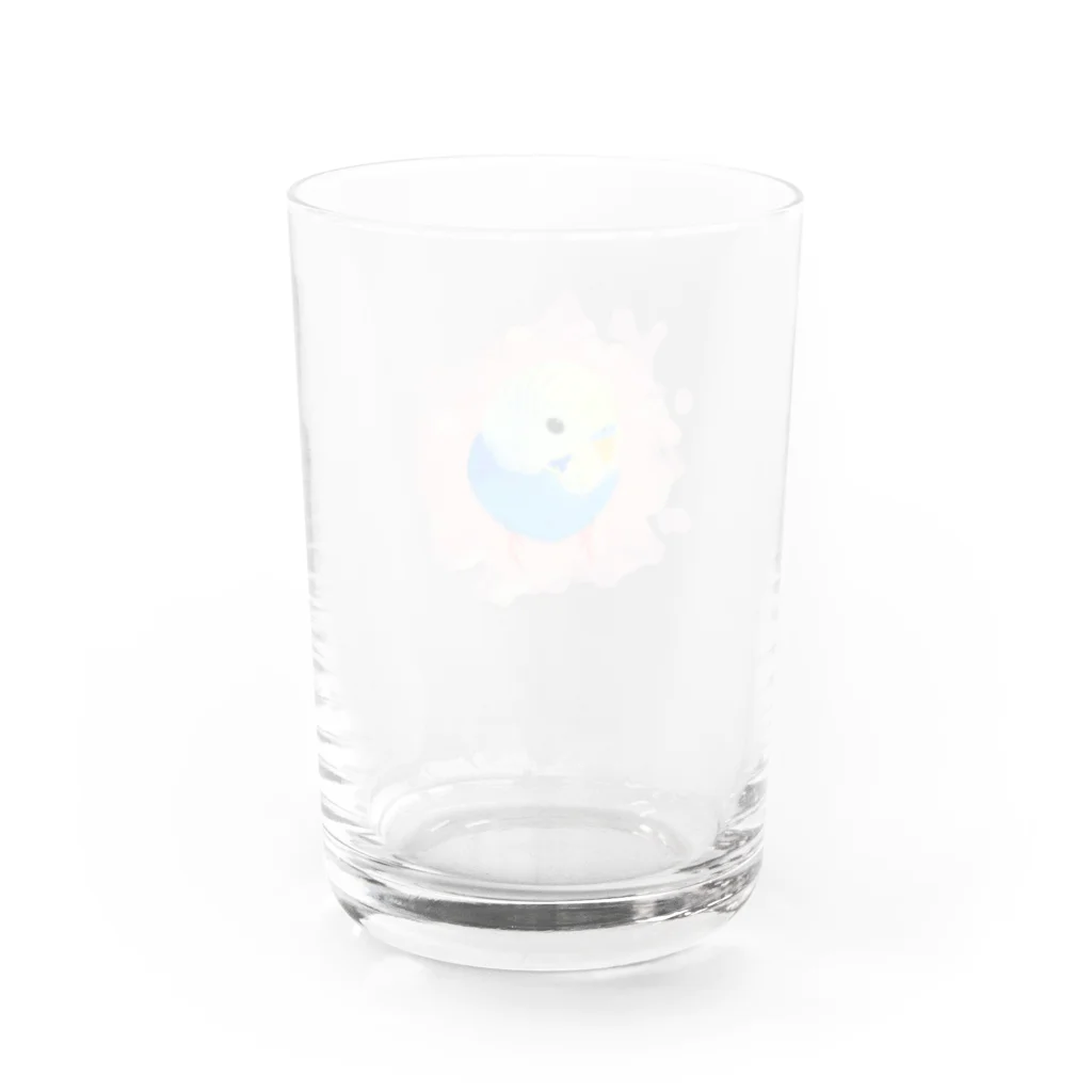 まめるりはことりのまるまるセキセイインコ【まめるりはことり】 Water Glass :back