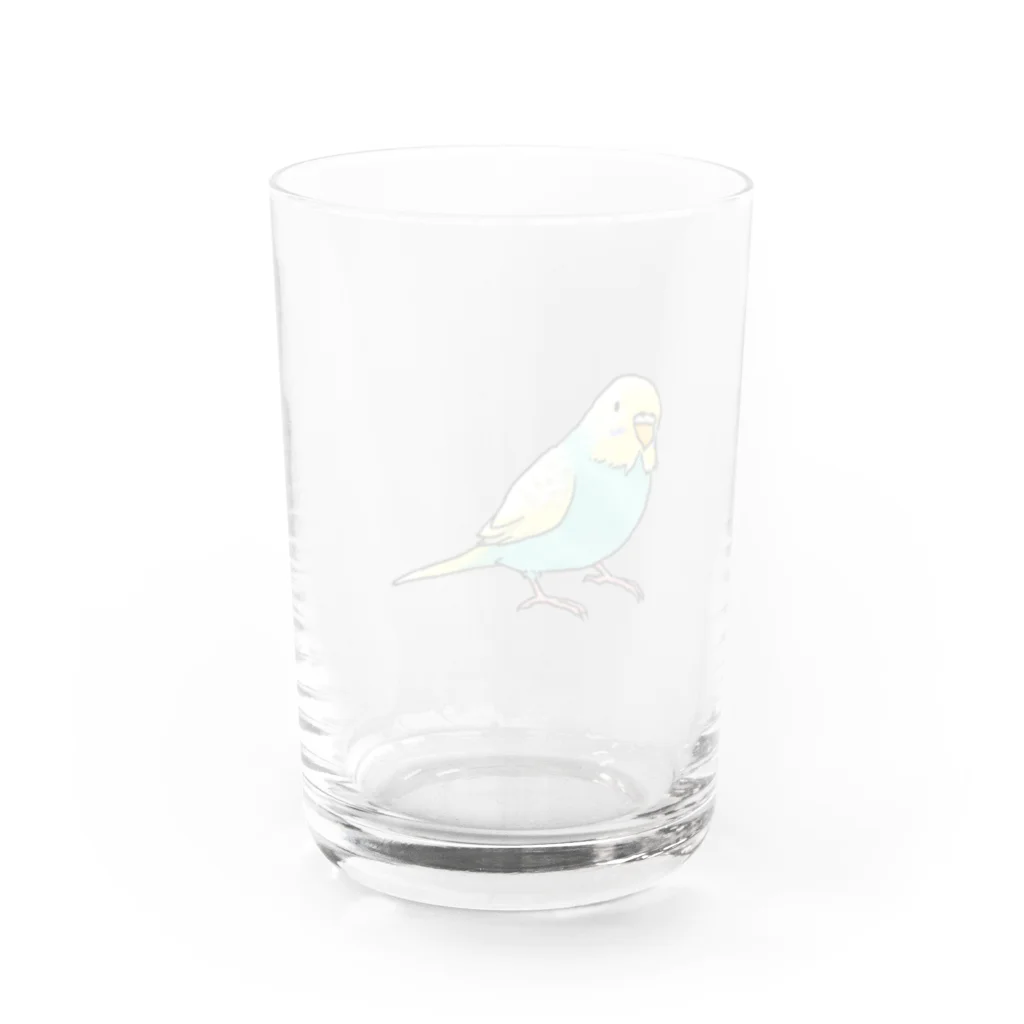 まめるりはことりのごきげんセキセイインコ【まめるりはことり】 Water Glass :back