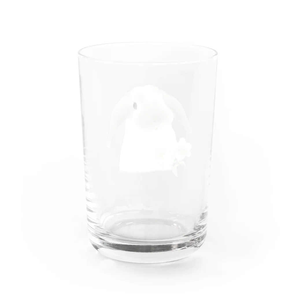 めんふぃすのうさぎ Water Glass :back