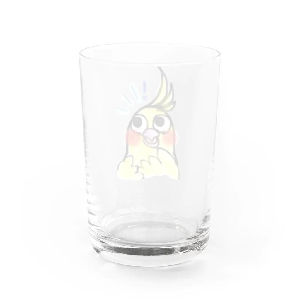 art極楽鳥のオカメインコのルビー Water Glass :back