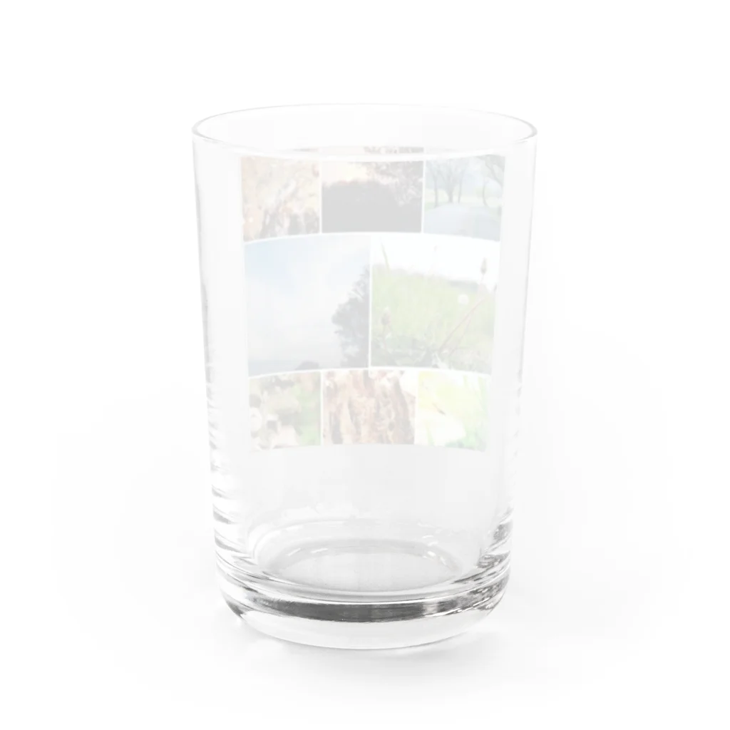 はぬんのここがどこかしってる？ Water Glass :back