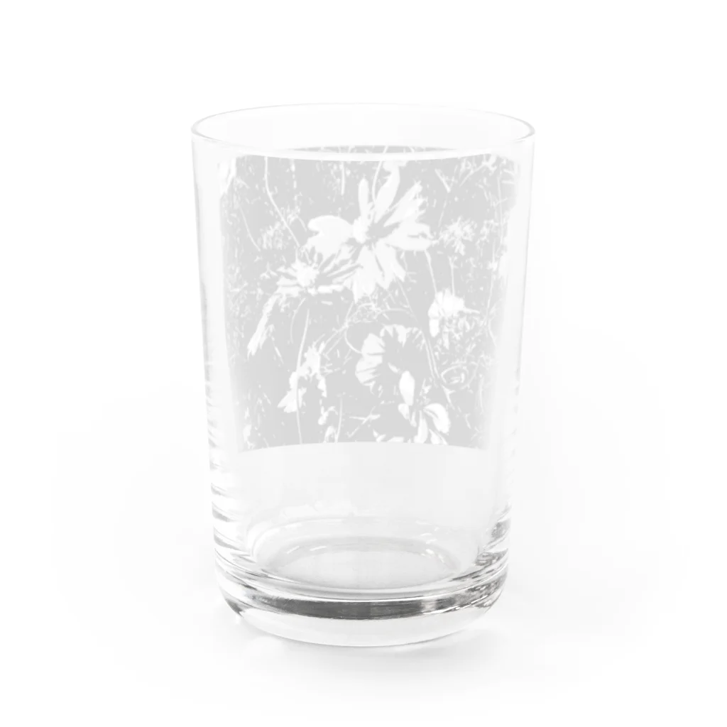 GR/uの花　flower Water Glass :back