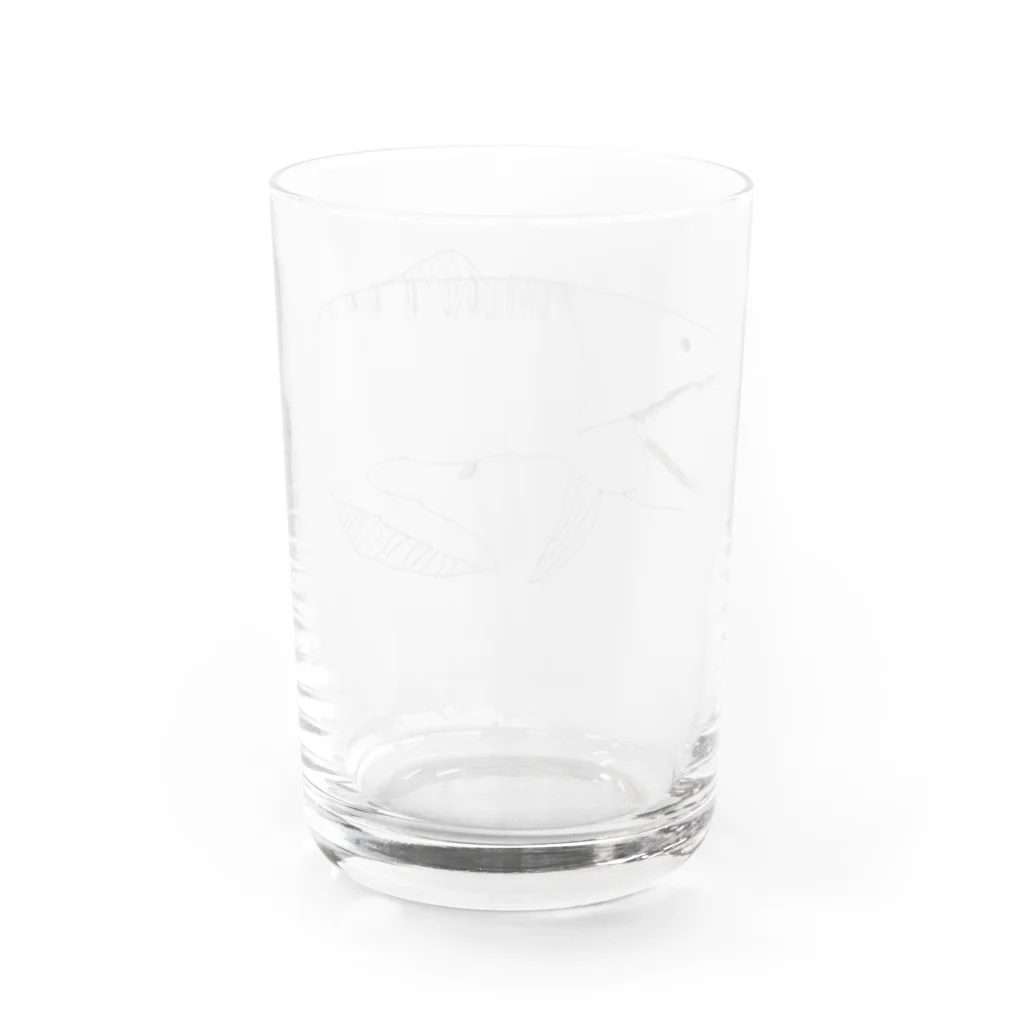 Kブラザーズのダンクルオステウスくん Water Glass :back