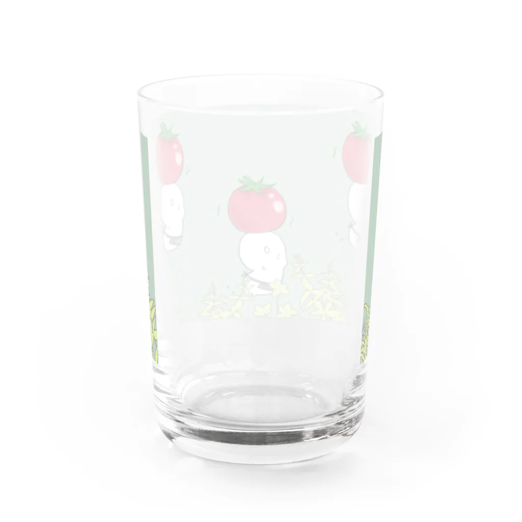 煤音小紋ちのトマトと Water Glass :back