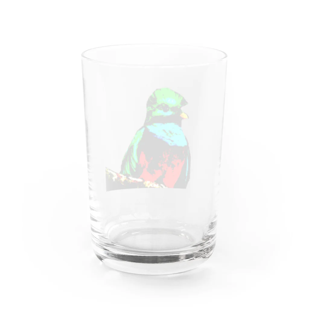 Danke Shoot Coffeeのケツァール Water Glass :back