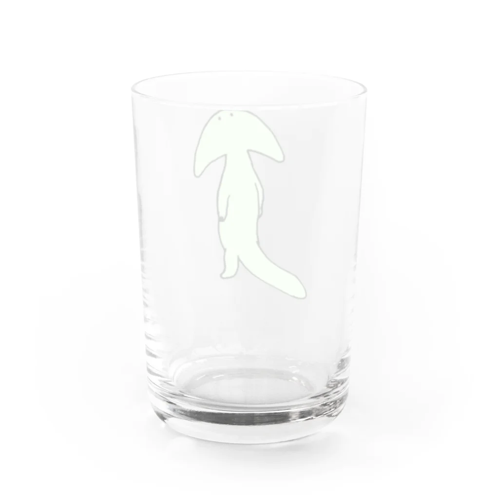 segasworksのディプロカウルス Water Glass :back