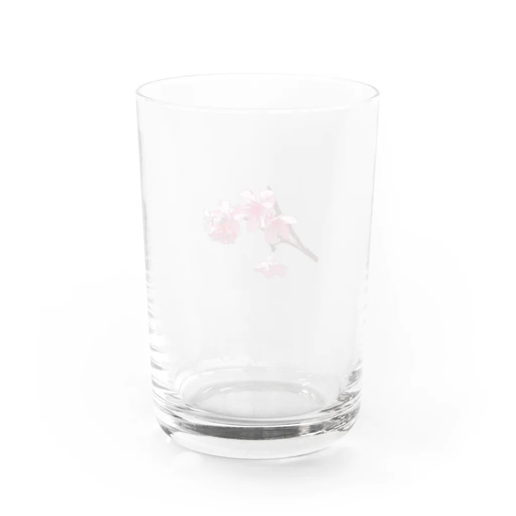 SOUTH ISLAND BLUE 沖縄店のサクラNAKIJINSON Water Glass :back