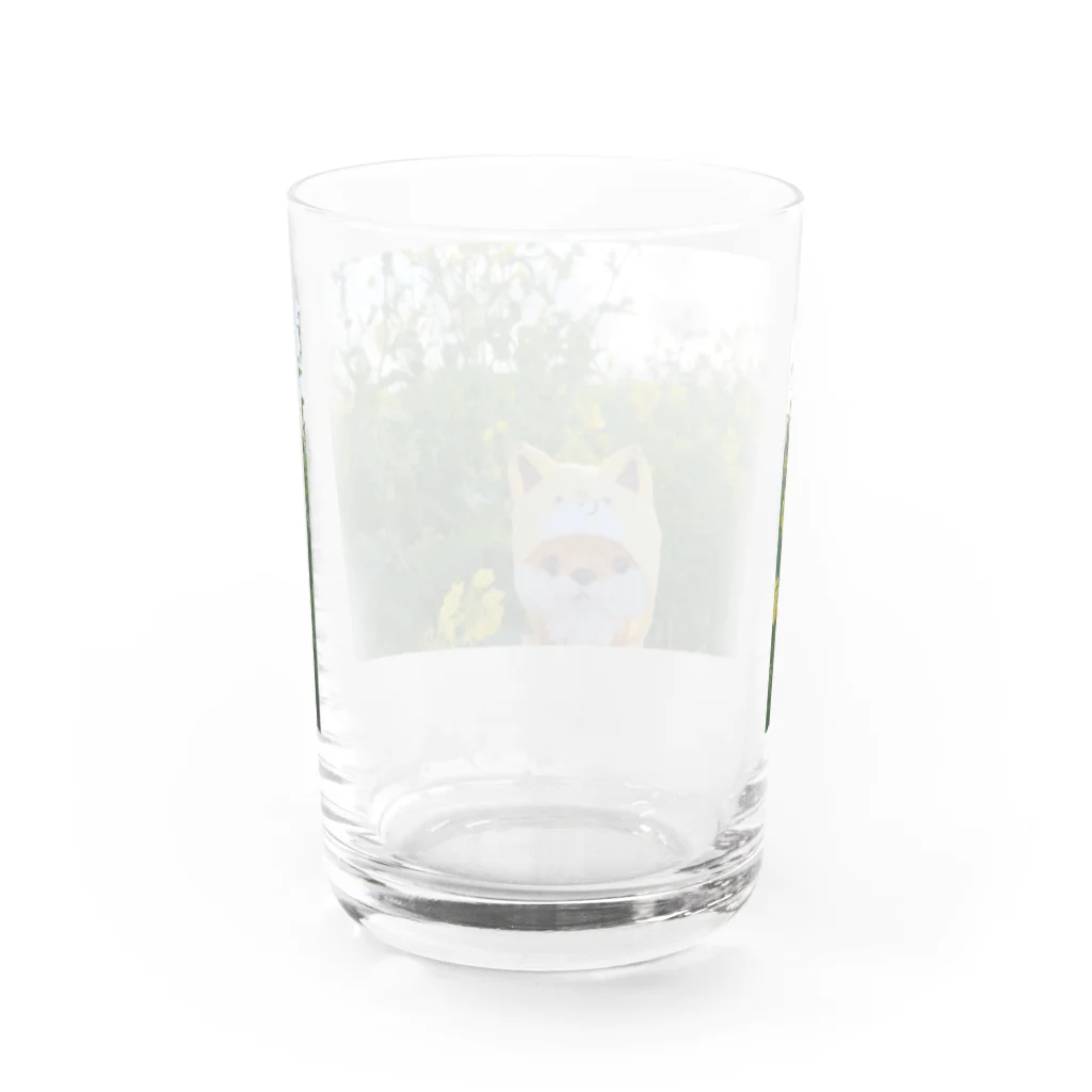 ❦ほっこり(*´ω｀*)さん🦊🌟*ೄ🌹🏵️ *ೄ*のコギツネちゃん Water Glass :back