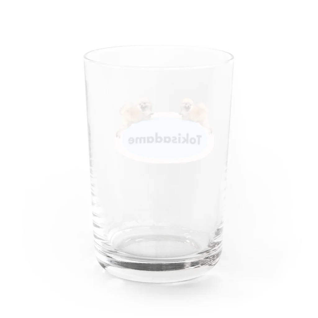 TOKISADAMEの２匹のトーストちゃん Water Glass :back