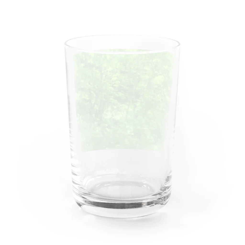 waKasaのMorino Water Glass :back