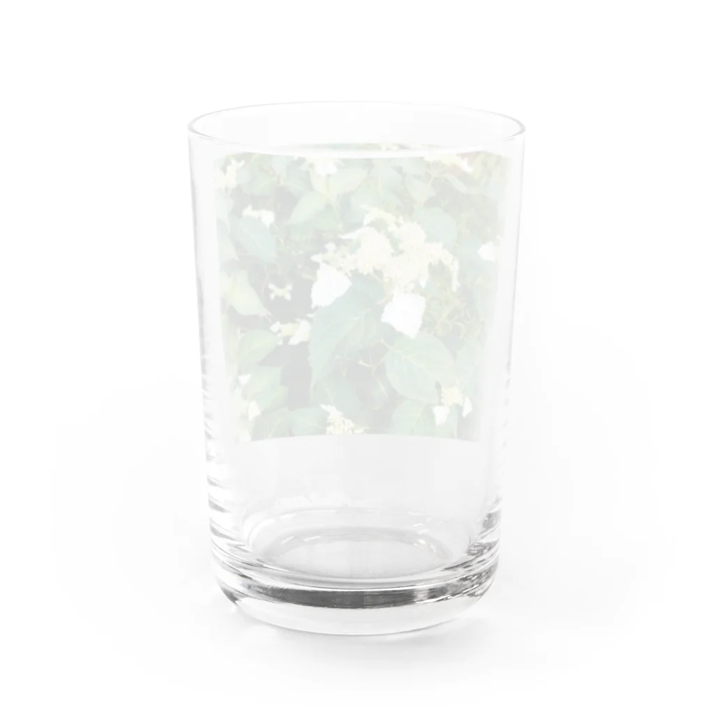 🍓塩野ネリコ🍓の6月ドロップ Water Glass :back