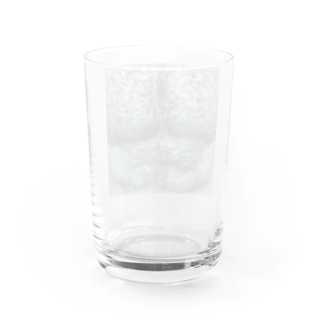 ハラシバキ商店のセディショナリーズ Water Glass :back