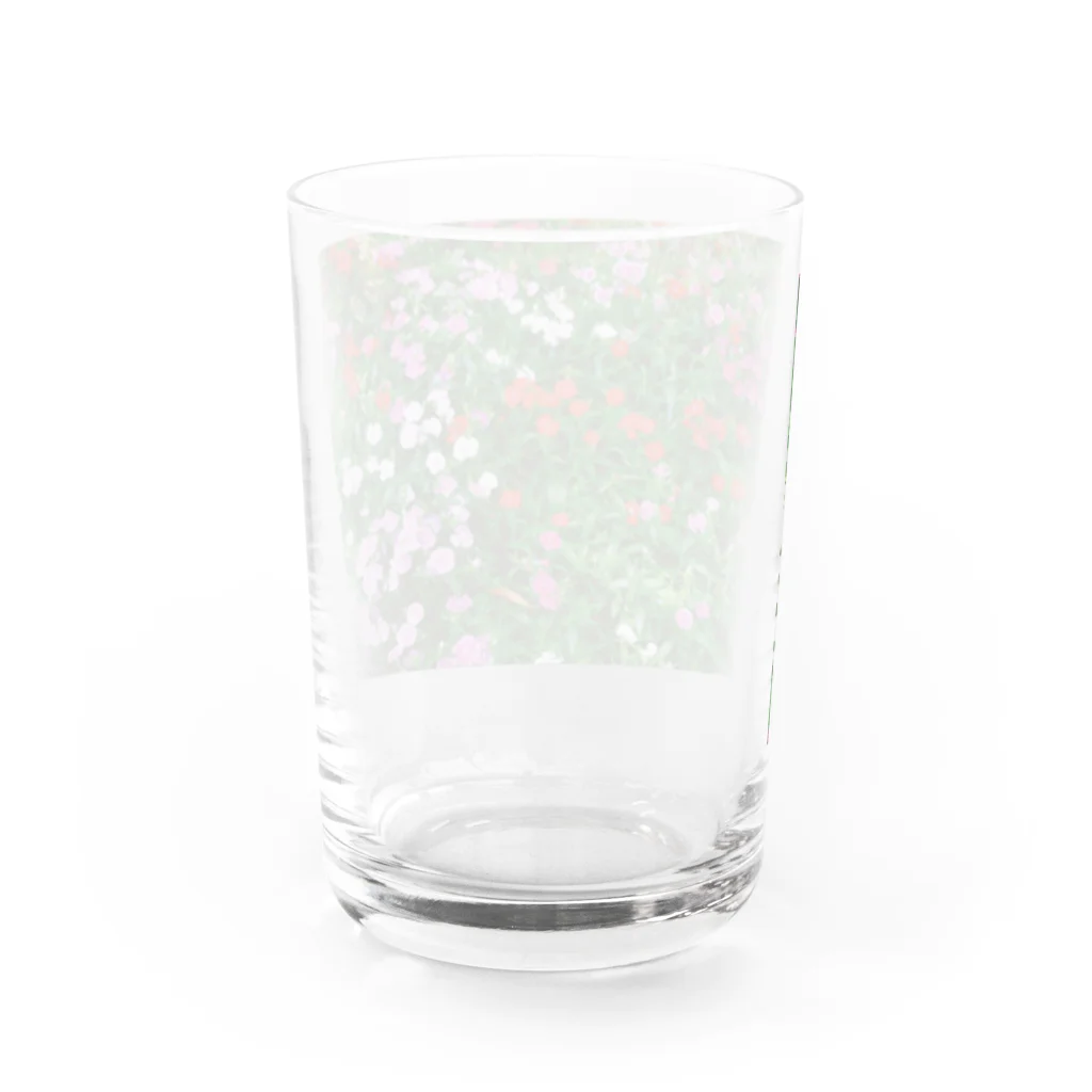 あこがれの花畑 Water Glass :back