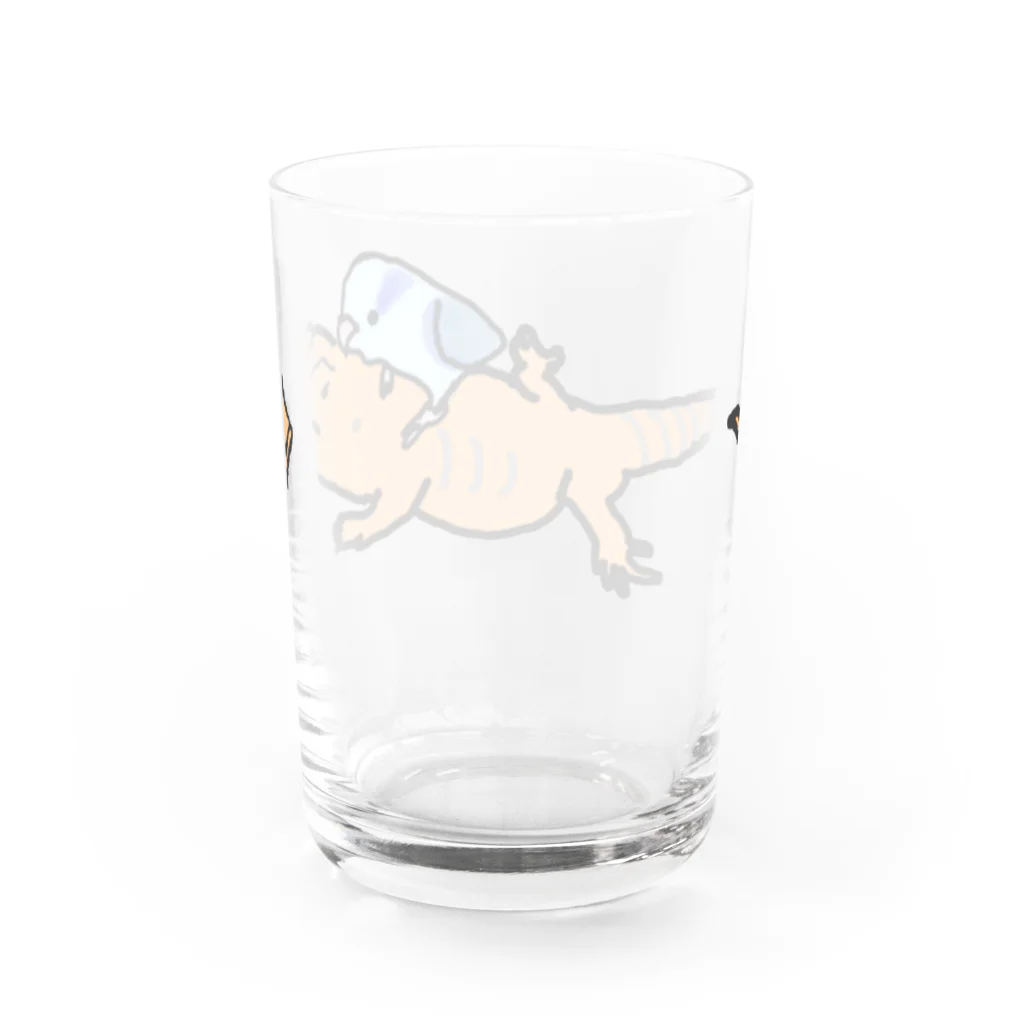 mamemameのまめるりは Water Glass :back