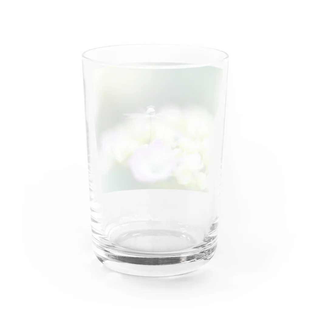 PhotoAtelier Aileのangel of hydrangea 170603 Water Glass :back