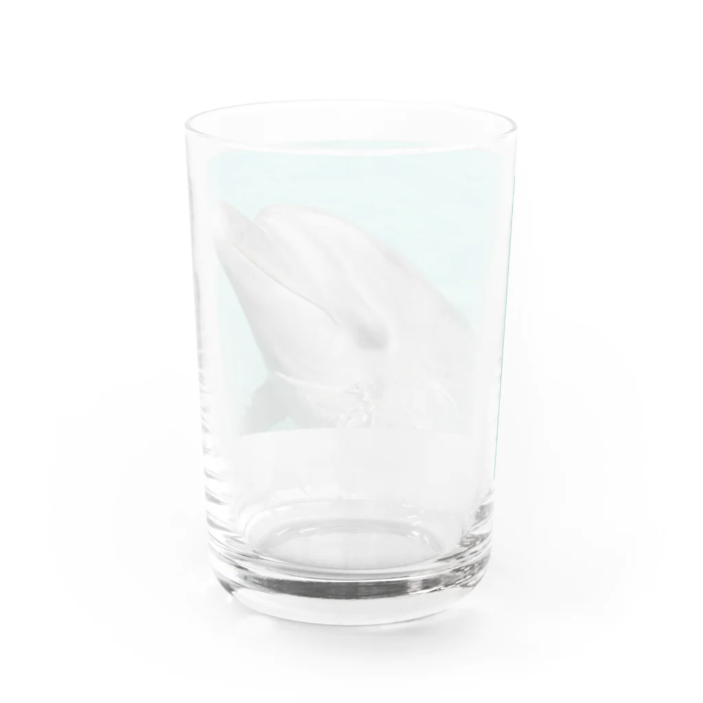 smile牧場のイルカちゃん Water Glass :back