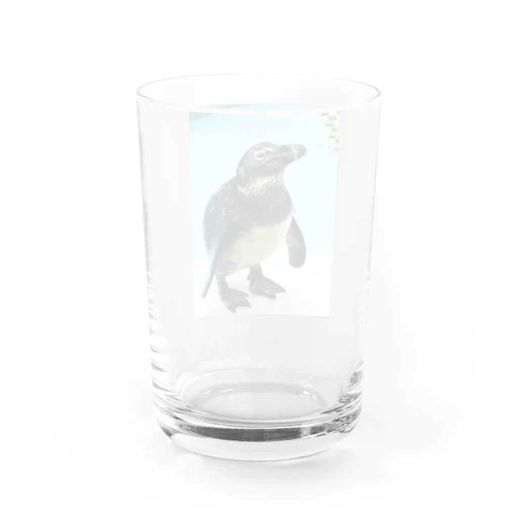 machiko kのエサまちのペンギン グラス反対面