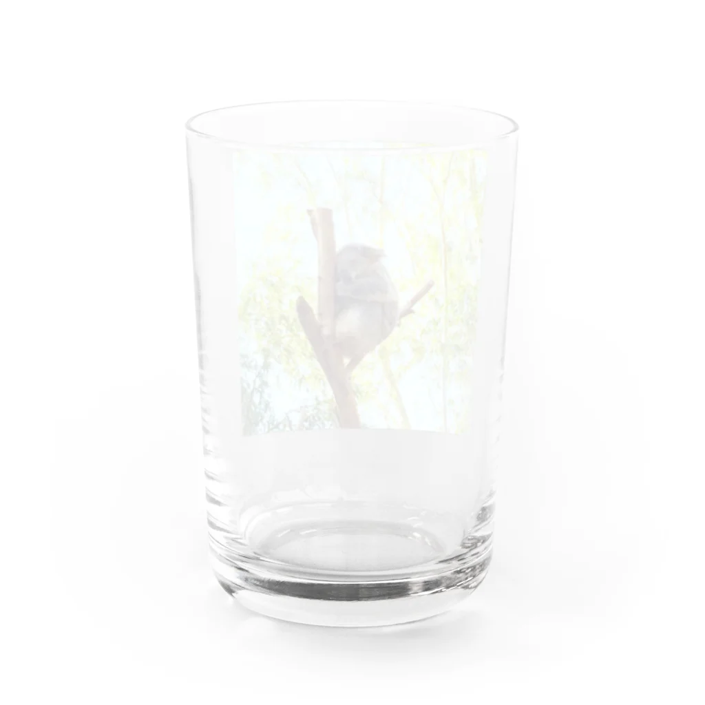 ゆっぴーの森 〜ゆるふわと安らぎ〜のコアラの眠り 〜シドニーLimited〜 Water Glass :back