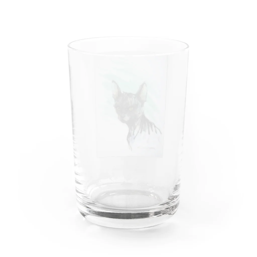 永久凍土の国の白夜のスフィンクス猫２０２０ Water Glass :back